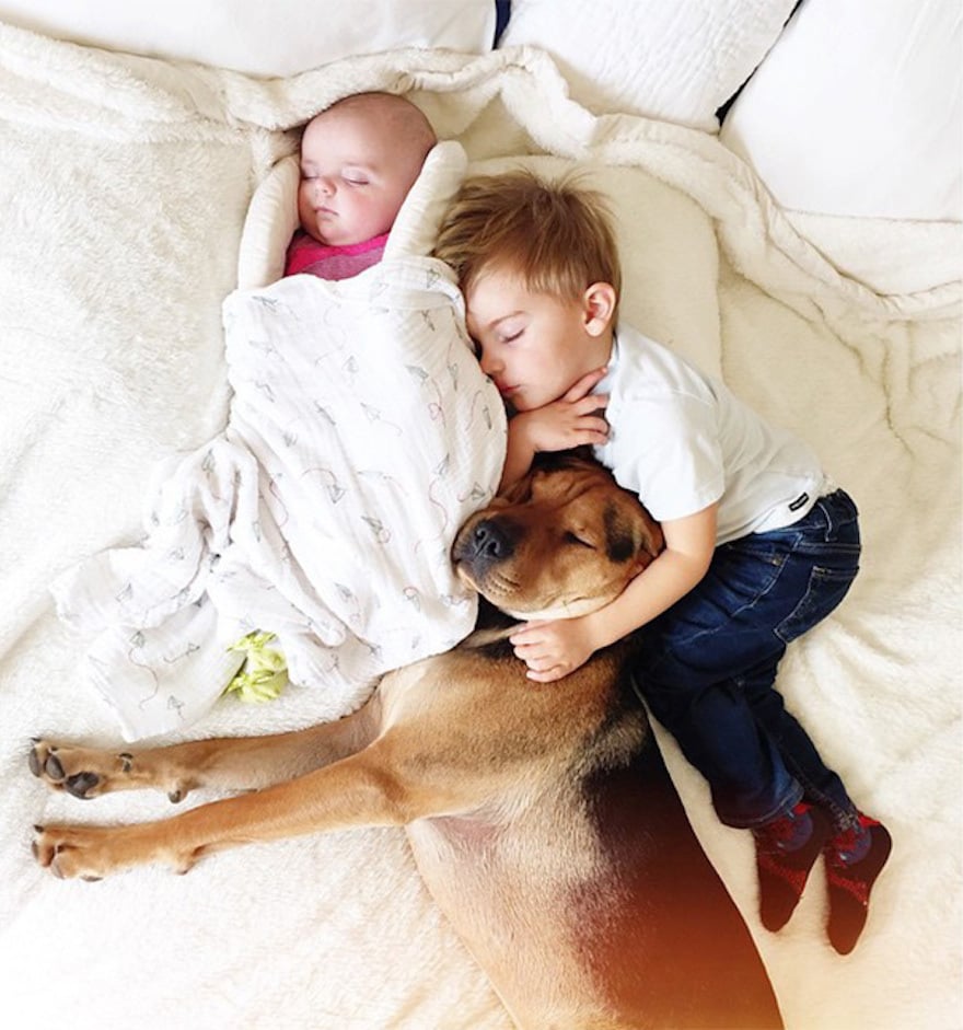 A gyerekek számára megnyugtató lehet, ha a kutya mellettük alszik