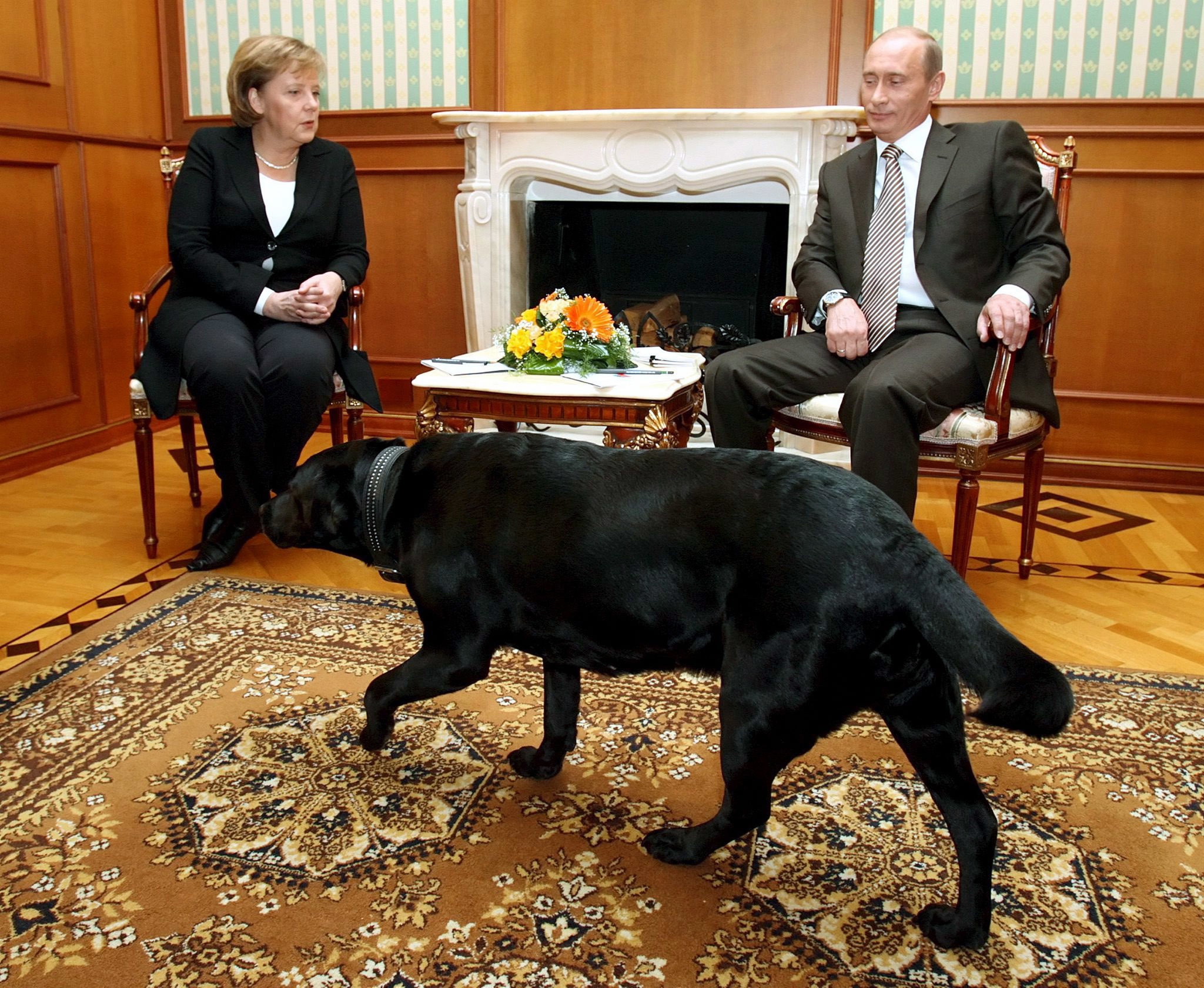 Angel Merkel és Vladigyimir Putyin találkozóján Konni, a labrador is részt vett