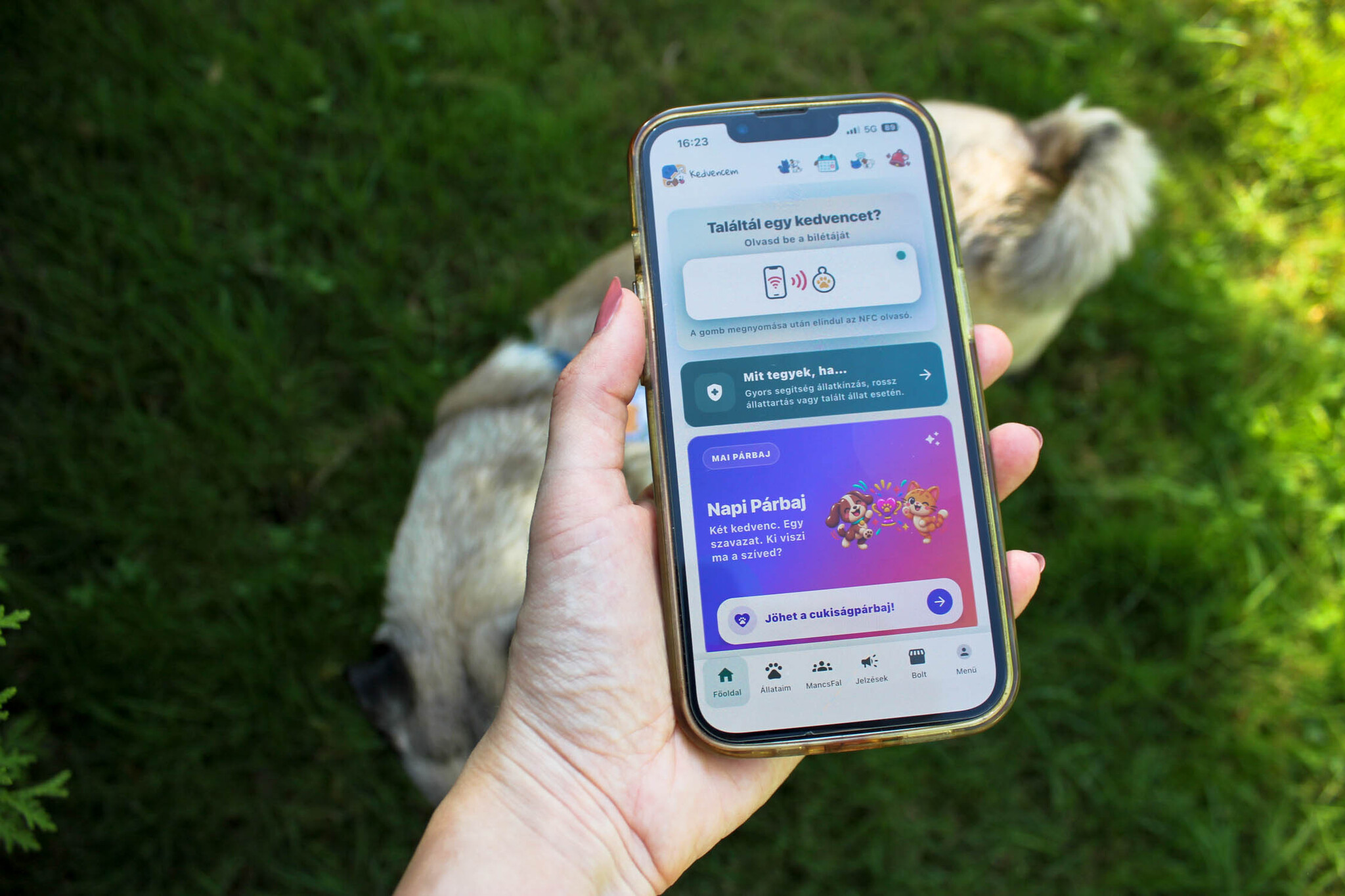 Kedvencem APP a kézben