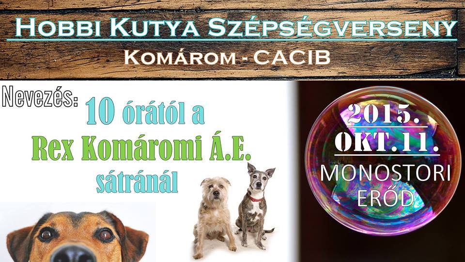 Hobbi Kutya Szépségverseny a Komáromi CACIB-on