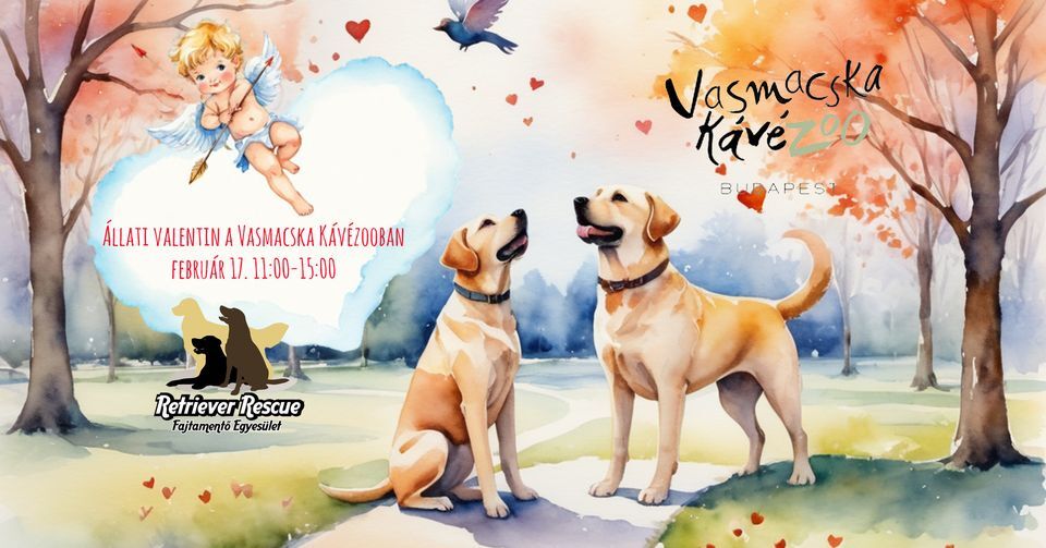 Állati Valentin a Vasmacska KávéZoo-ban a Retriever Rescue-val
