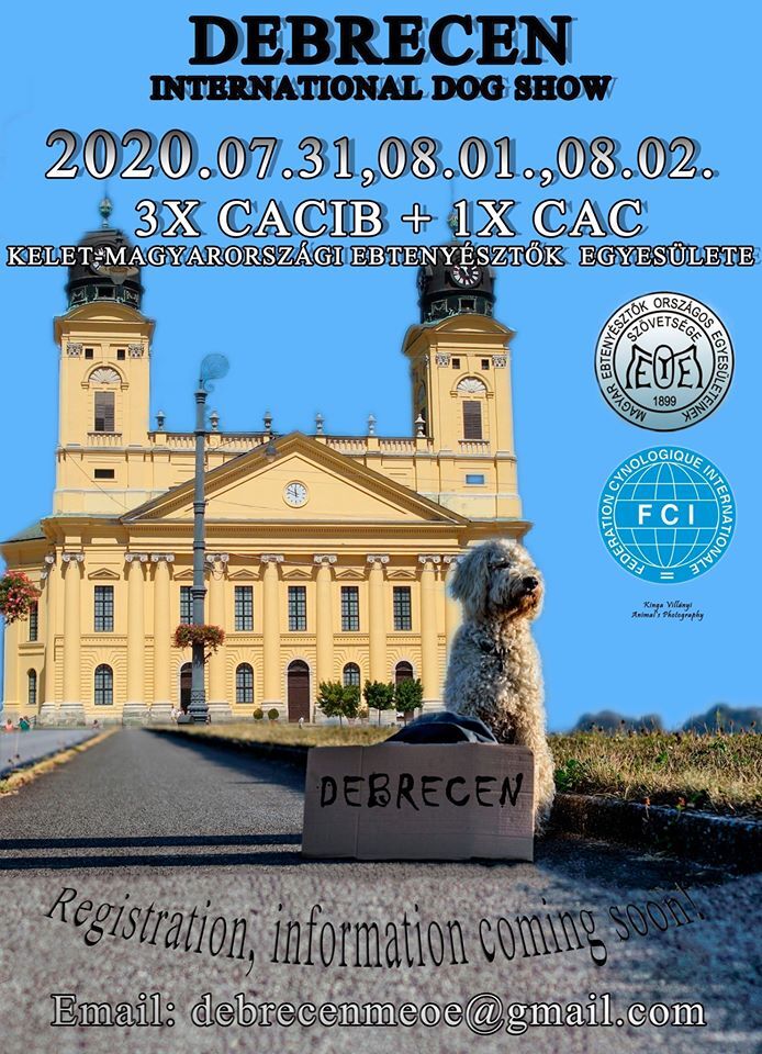 Debrecen 3xCACIB 1xCAC Kutyakiállítás 2020