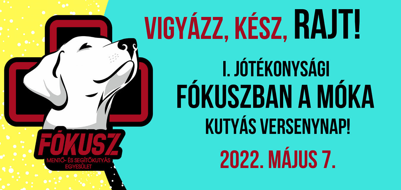Fókuszban a móka - I. Jótékoynsági kutyás versenynap