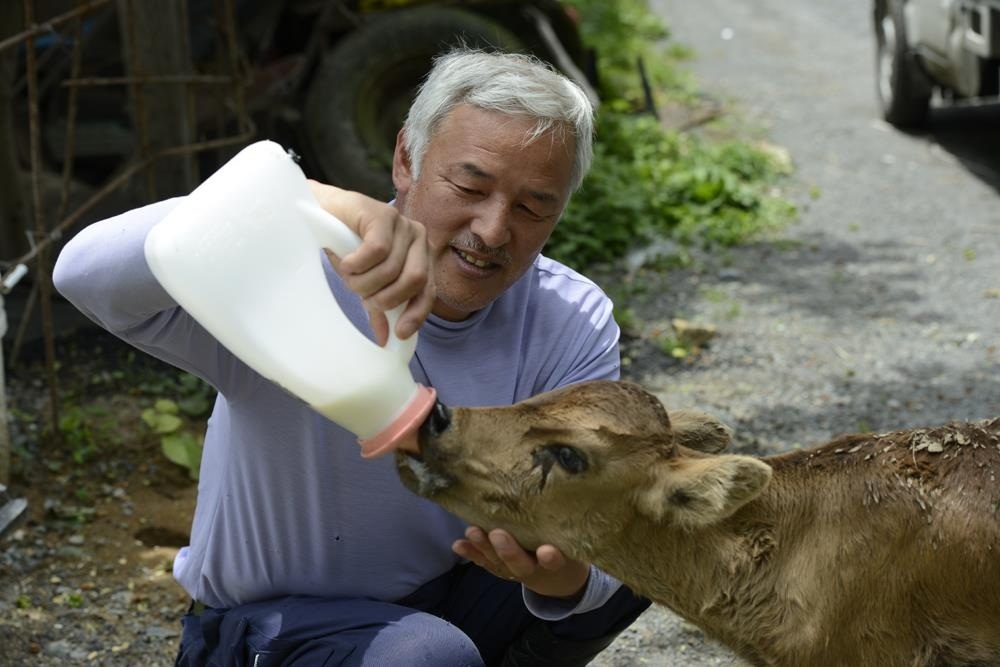 Az atomkatasztrófa után hátrahagyott állatok egyetlen reménye a japán férfi