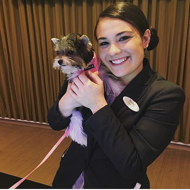 A kutyabarát Hyatt Regency Orlando hotel alkalmazottai is örültek a kutyáknak