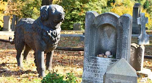 Régen nem jelentett jót a kutya a temetőben, ma pedig már társunknak is saját sírhely jár