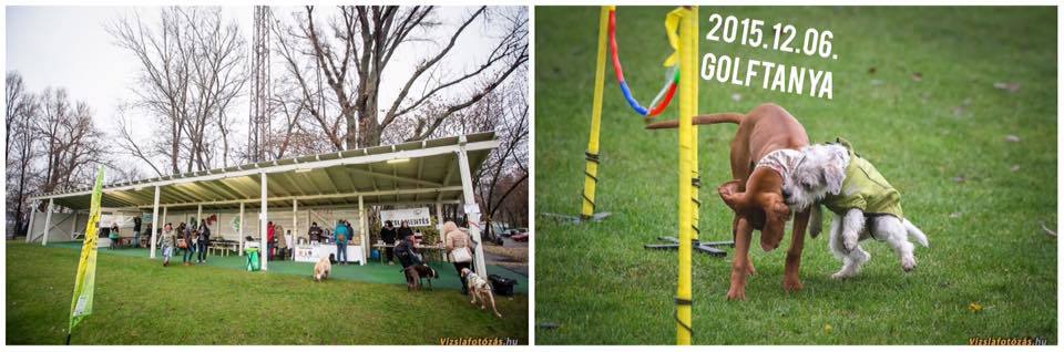 Kutyakarácsony: vásár a Golftanyán
