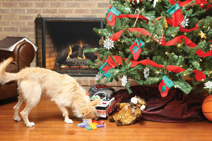 A fa alatt elhelyezett ajándékok is csábítóak lehetnek kutyánk számára