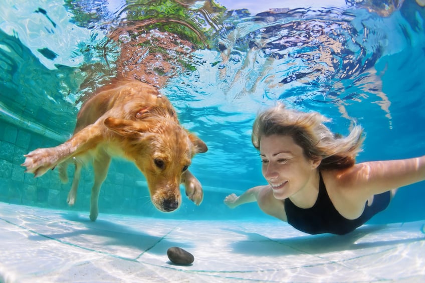 Kutya a medencében - a búvárkodás is izgalmas kihívás