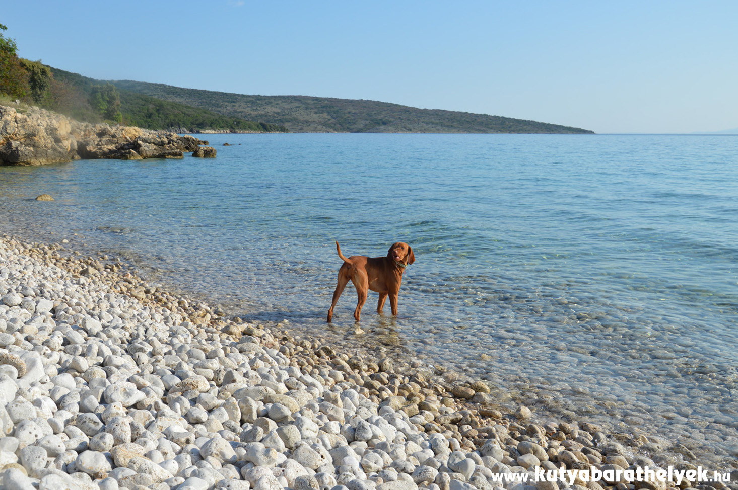 Hófehér kövek, türkiz tenger - és a strandot a kutyánkkal is élvezhetjük! Kutyastrand, Punat