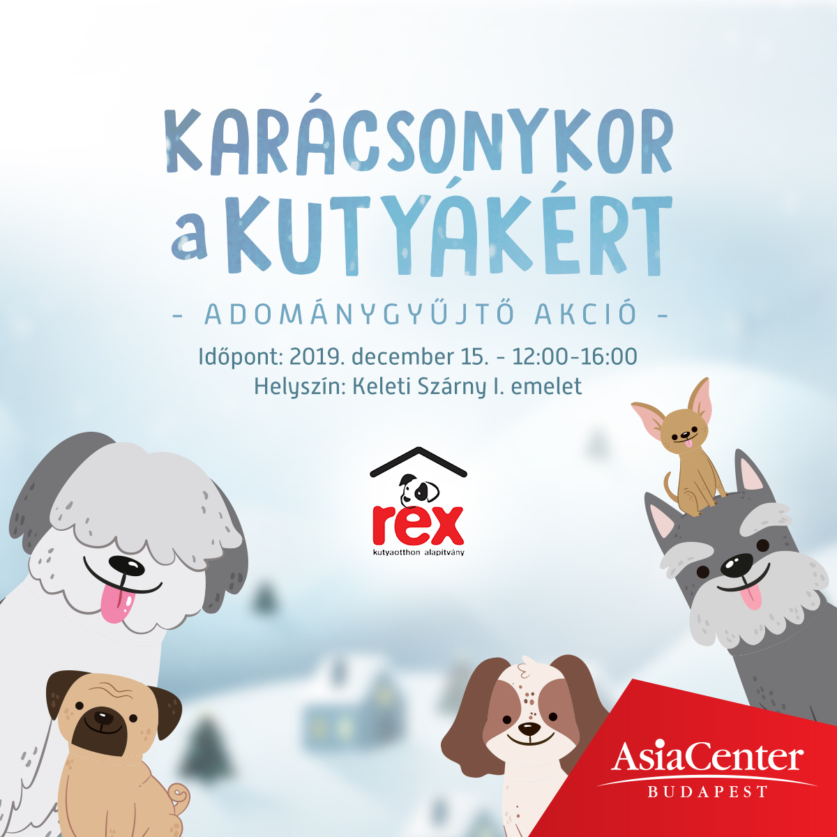 Karácsonykor a kutyákért - Adománygyűjtés az AsiaCenterben 2019