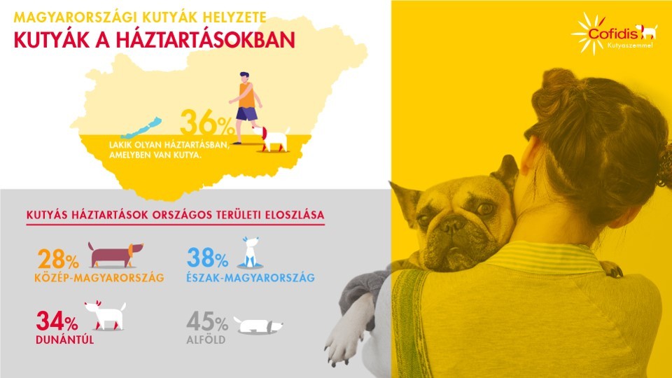 Kutyák a magyar háztartásokban