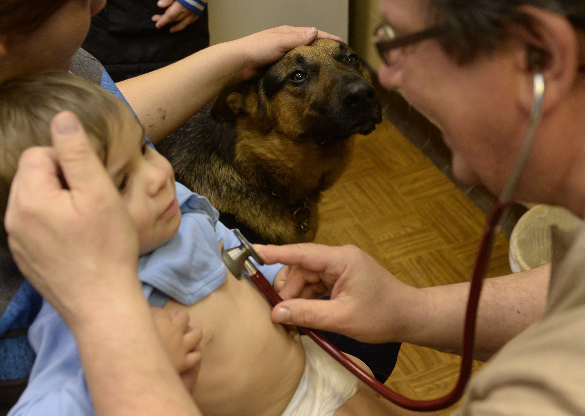 Vizsgálat közben megnyugtatja a kutya a kis betegeket