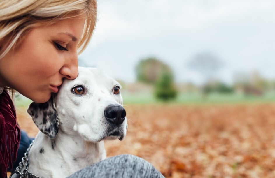 Szeretetteljes törődéssel, odafigyeléssel hallássérült kutyánk is boldog életet élhet