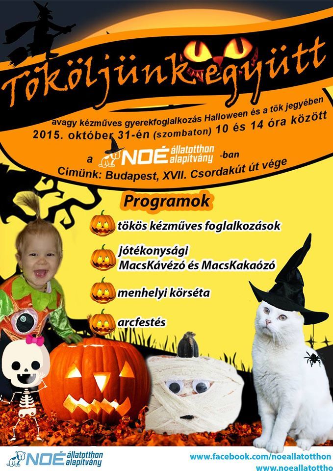  TÖKÖLJÜNK EGYÜTT ... a NOÉ Állatotthonban