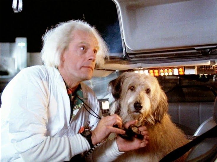 Doki és Einstein - Sokan vélnek felfedezni hasonlóságot Blue és a Vissza a jövőbe film kutyasztárja között