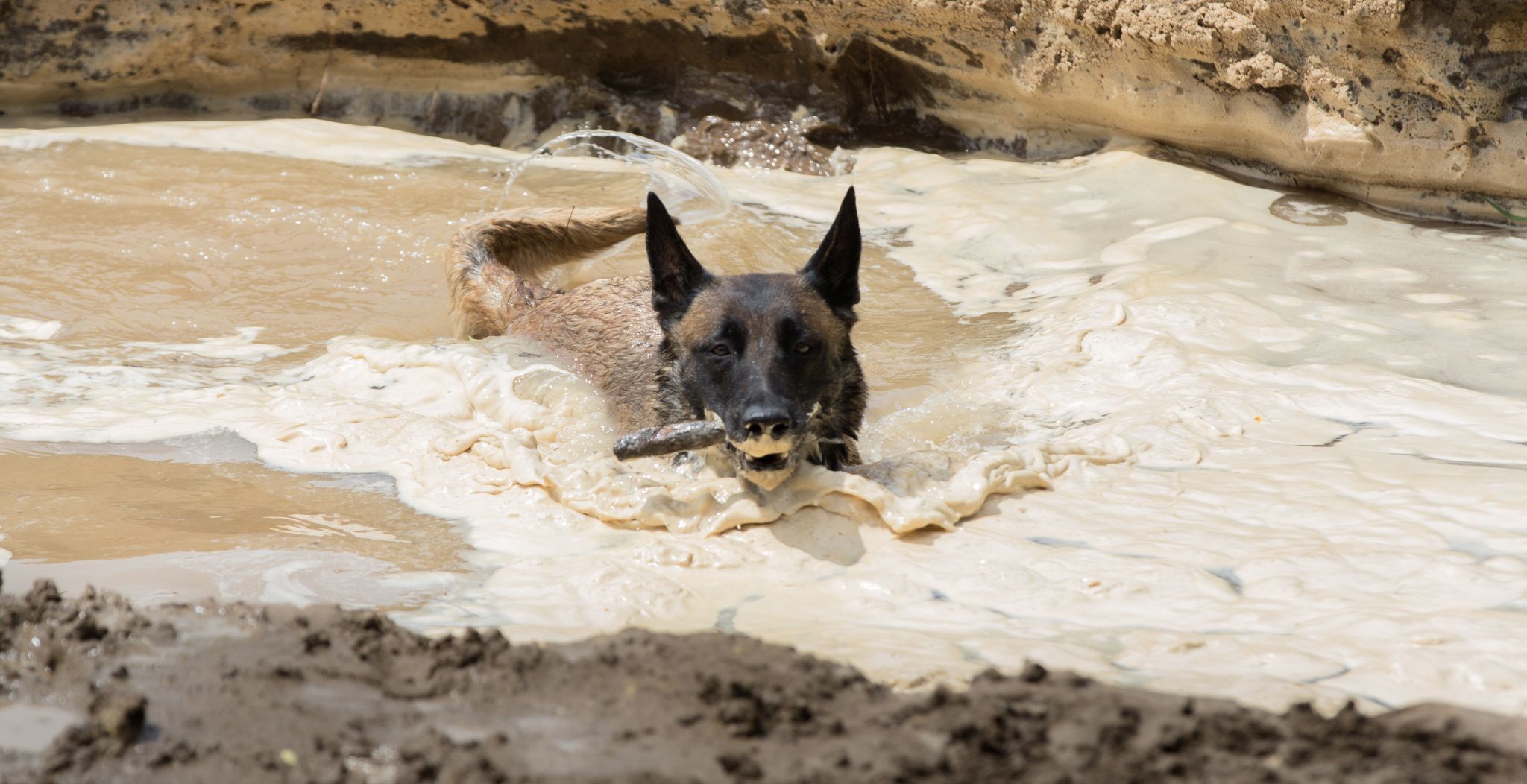 Hard Dog Race 2016 - a sáron és vízen is át kell jutnotok