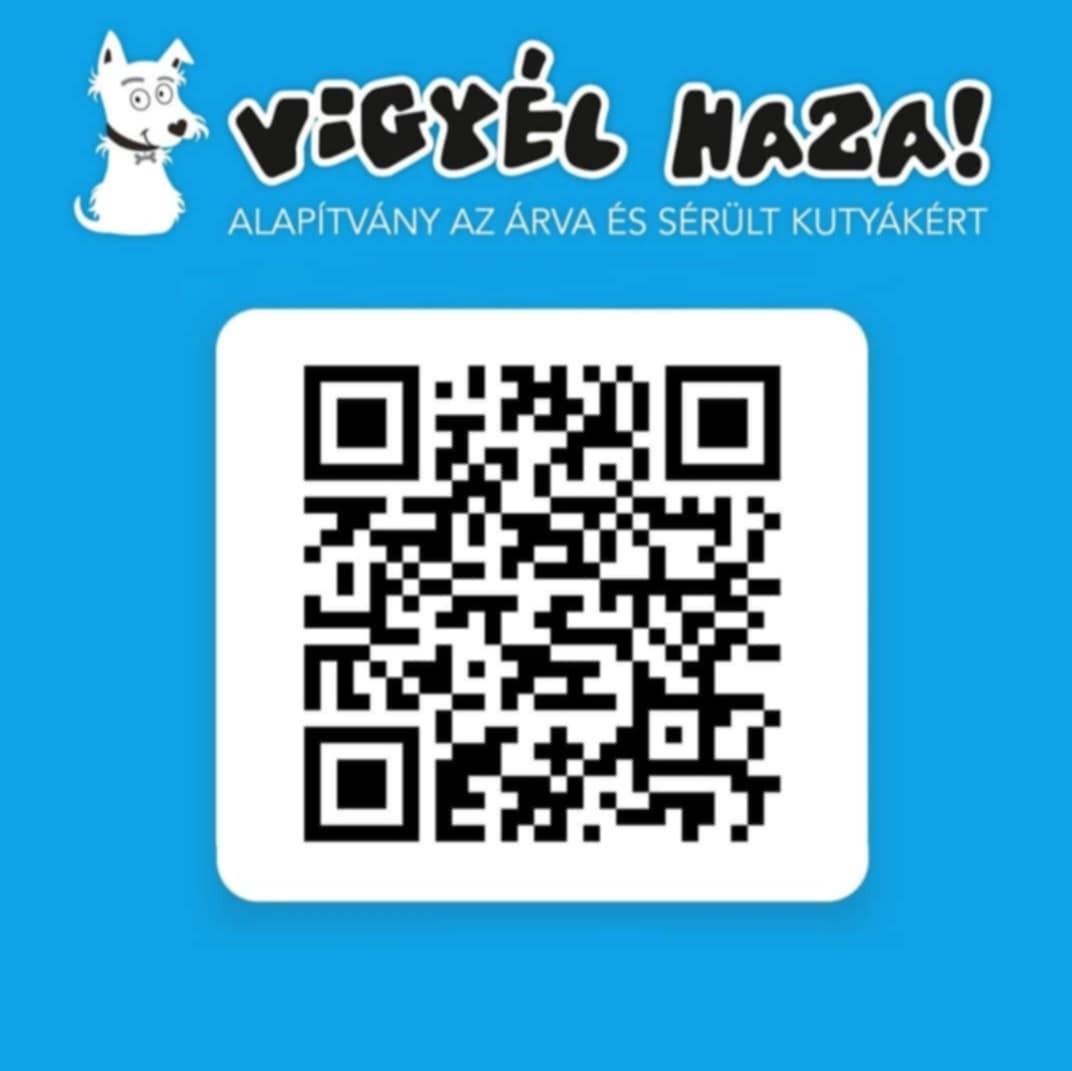 vigyél haza alapítvány