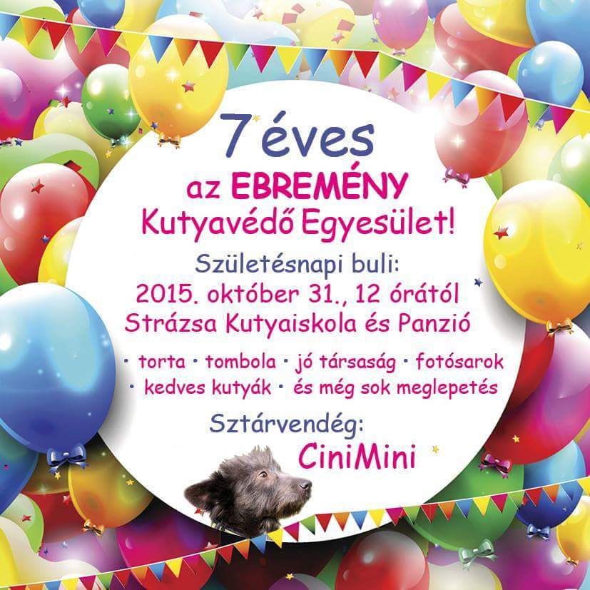  Ebremény 7. születésnapi buli