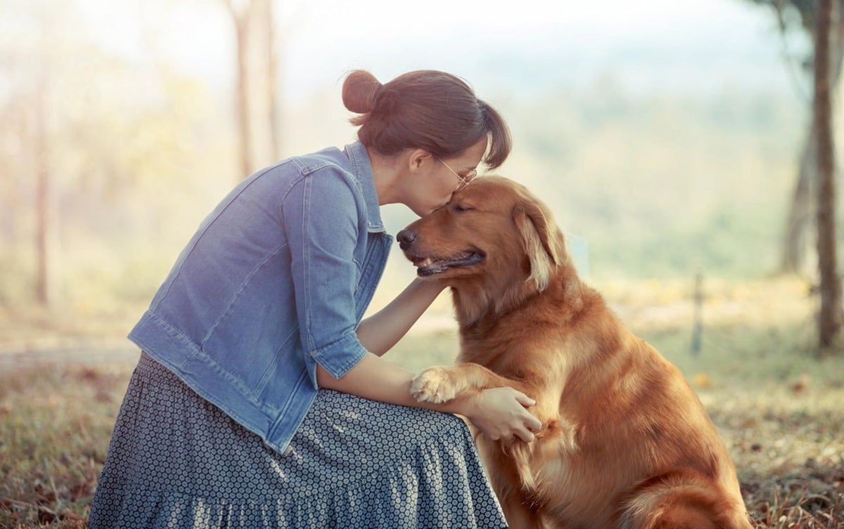 10 dolog, amivel boldogabbá és teljesebbé teheted kutyád életét
