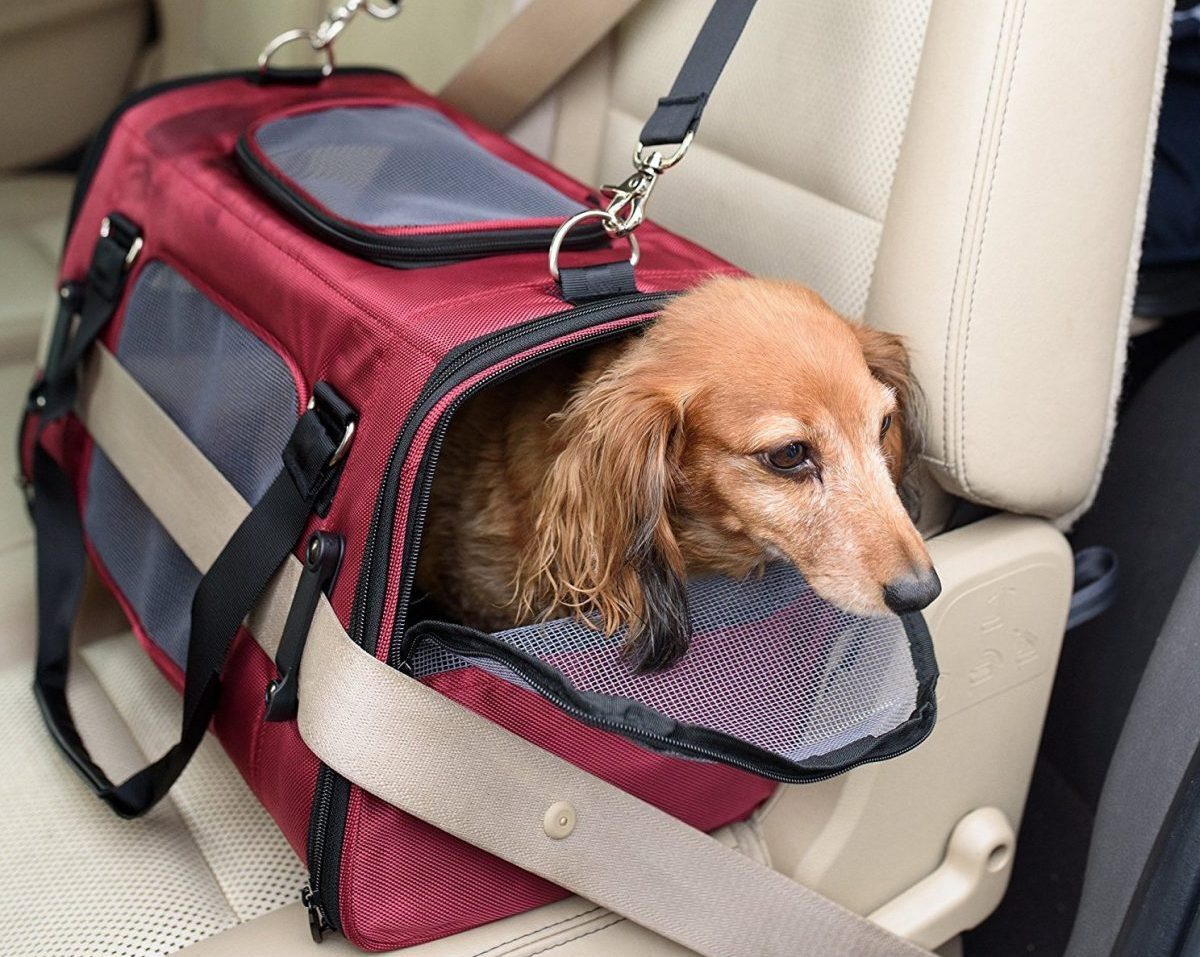Biztonság utazás közben - Szállítóbox textil anyagból kistestű kutyáknak