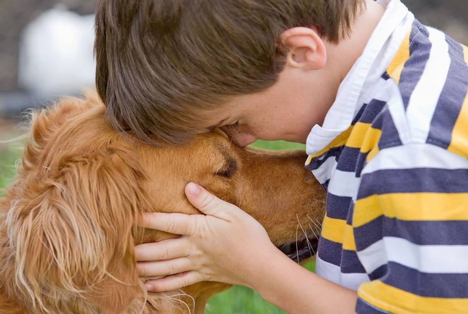 Kutya és gyerek - elválaszthatatlan kötelék alakulhat ki