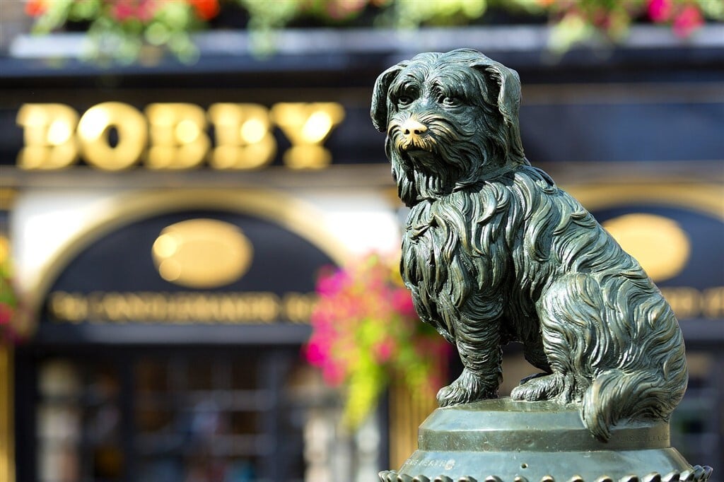 Greyfriars Bobby - Egy kutya, aki a hűség és odaadás jelképe lett