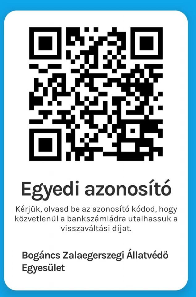 Bogáncs Zalaegerszegi Állatvédő Egyesület.jpg
