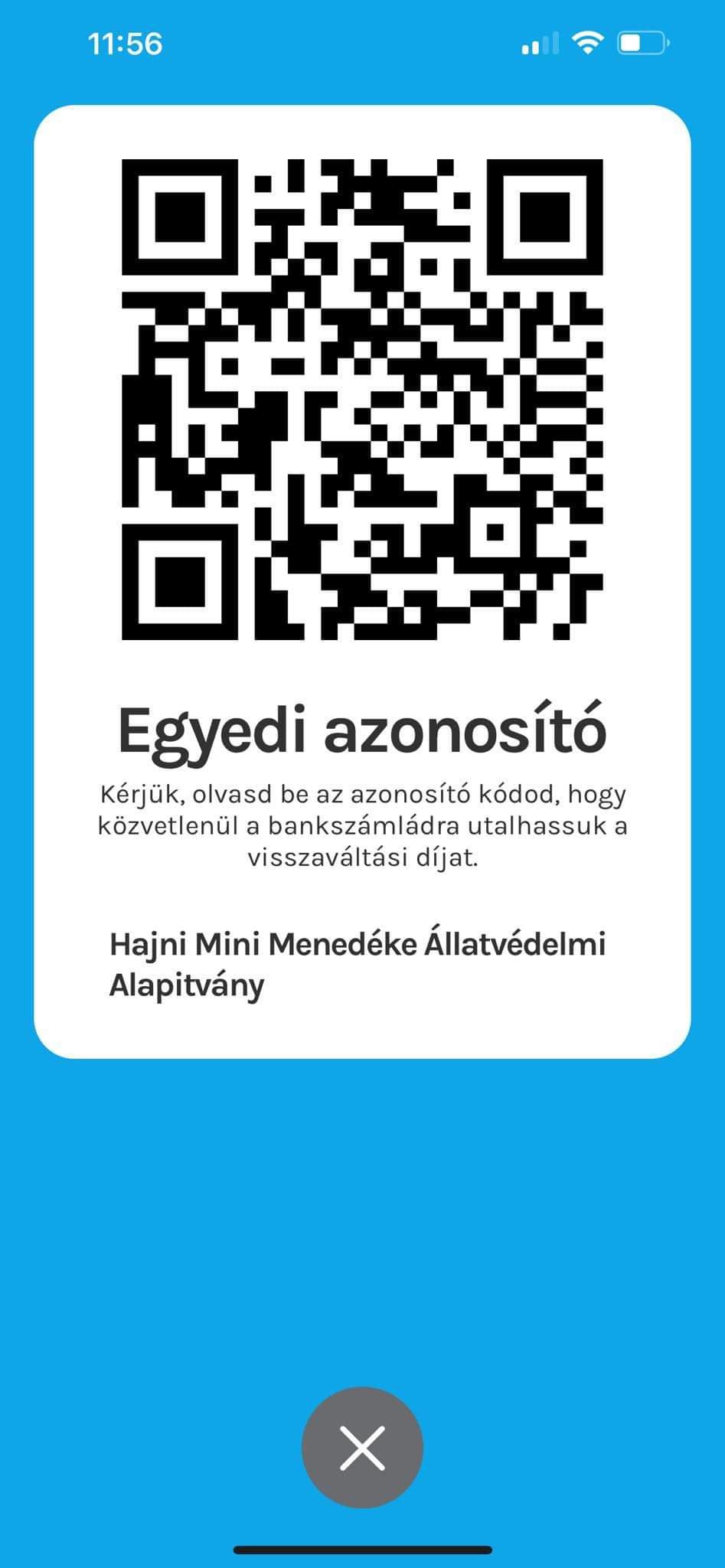 Hajni Mini Menedéke Állatvédelmi Alapítvány.jpg