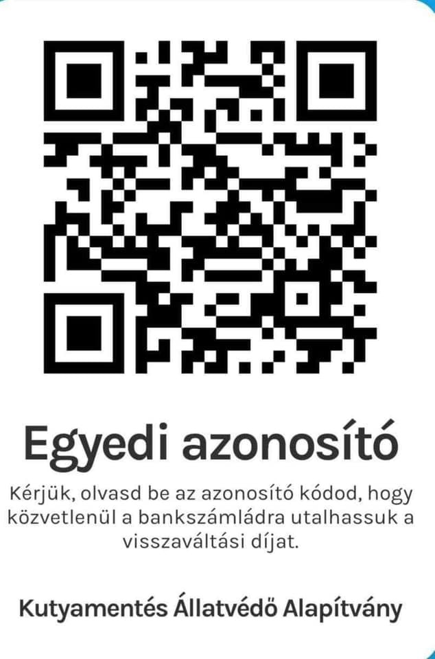 Kutyamentés Állatvédő alapítvány.jpg