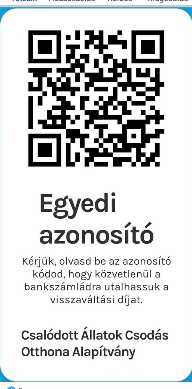 Csalódott Állatok Csodás Otthona Alapítvány.jpg