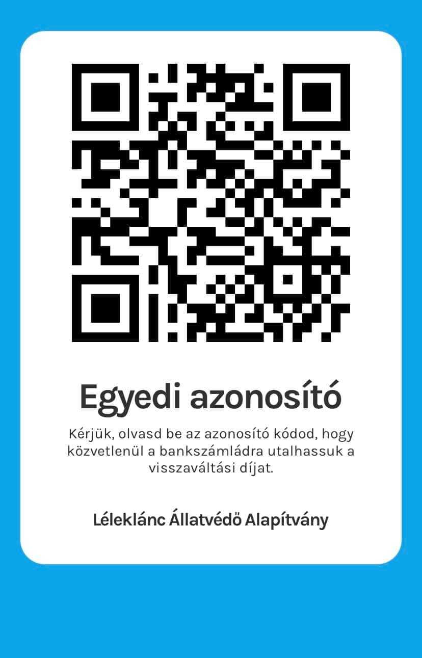 Léleklánc Állatvédő Alapítvány.jpg