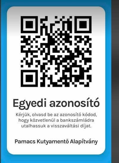Pamacs Kutyamentő Alapítvány.jpg