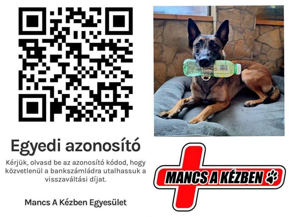 Mancs a Kézben Egyesület.jpg