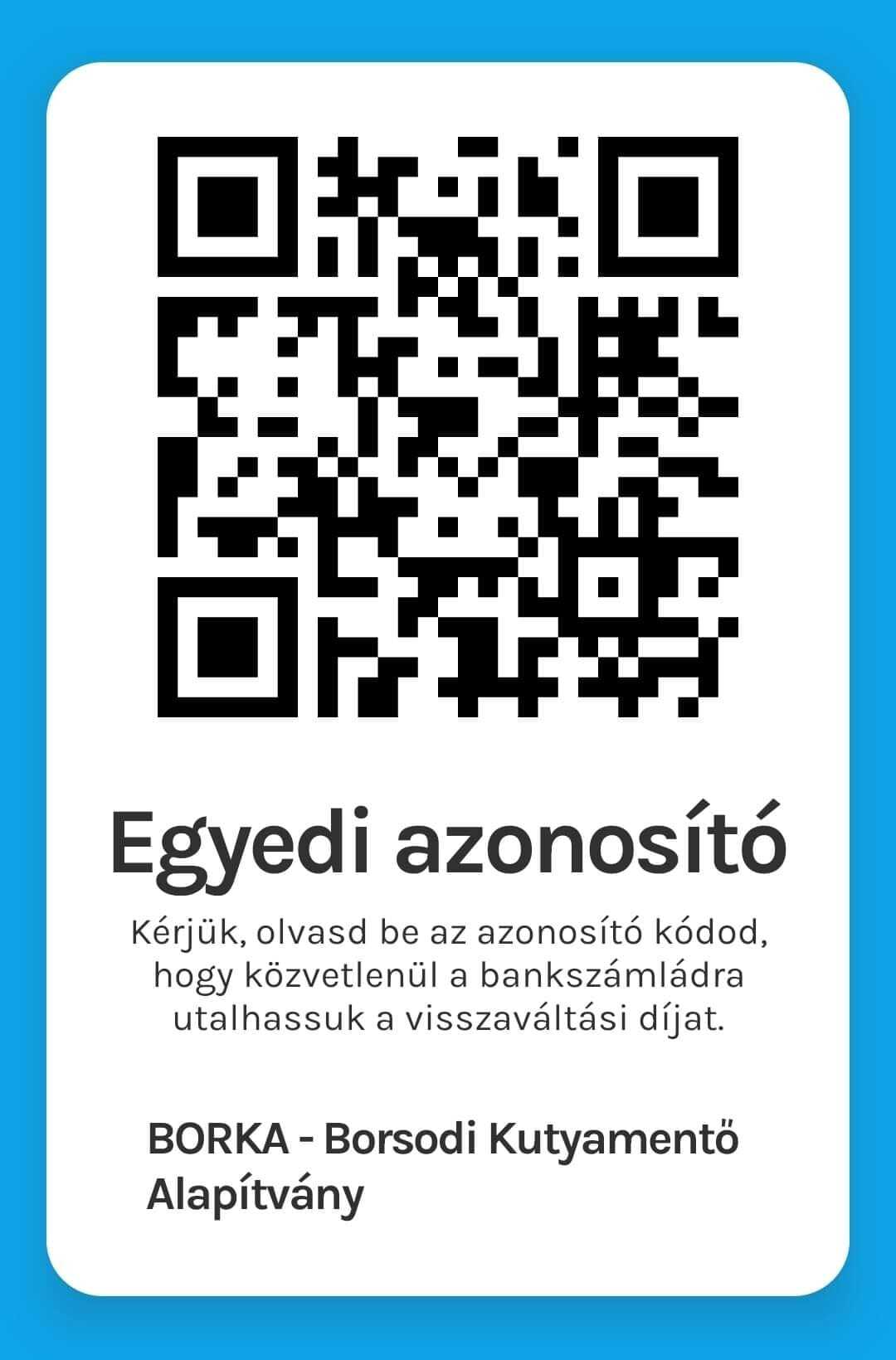 BORKA- Borsodi Kutyamentő Alapítvány.jpg