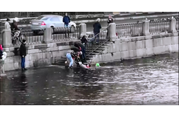 Jéghideg folyóba ugrott egy férfi, hogy kimentse kutyáját a sodrásból