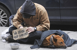 Új szabálysértési törvény: tilos lesz életvitelszerűen közterületen tartózkodni - de mi lesz a hajléktalanok kutyáival?