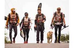 Egy kóbor kutya története, aki 690 km-t versenyzett azért, hogy új otthonra leljen