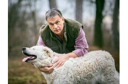 Íme az ok, amiért Orbán Viktor kiáll az állatvédelem mellett