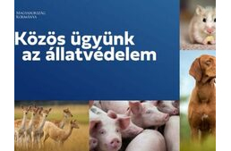 Pályázható a 2025-ös Állatvédelmi Ösztöndíj