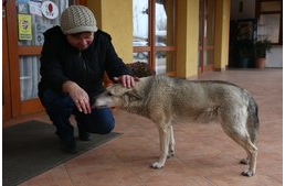 Átkelt a szivárványhídon Magyarország legidősebb kutyusa
