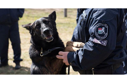 Tragédia: Megtalálták a Kis-Dunában elmerült kutyakiképzőket