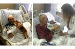 A végső stádiumos rákos férfinak megengedték, hogy a kutyáját bevigye a kórházba. 