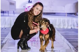 Menhelyi kutyák a reflektorfényben - árva kutyákkal mutatták be a hazai divattervezők kollekcióikat