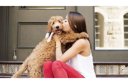Több puszit adunk kutyánknak, mint partnerünknek