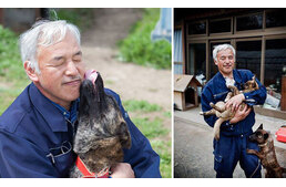 A fukushimai állatok őrangyala: 10 éve gondoskodik a hátrahagyottakról az önzetlen férfi