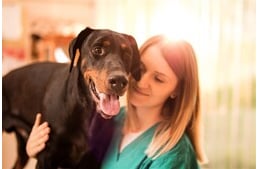 Cukorbetegség kutyáknál - 5 tipp a megelőzéshez
