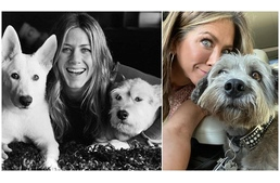 „A kutyák az igazi barátaim” - vallja a híres színésznő, Jennifer Aniston