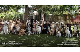 „A türelem a lényeg” – Ilyen szépen ül a kamera előtt 30 kutya egy szülinapi parti fotón