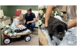 Az állatorvosnál házasodott össze a fiatal pár, hogy idős, beteg kutyájuk is velük ünnepelhessen
